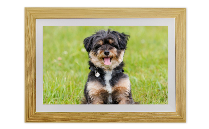 DMF101W 10.1インチ液晶デジタルフォトフレーム写真